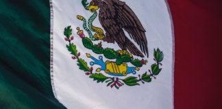 l Mejor Broker Forex en México en 2020