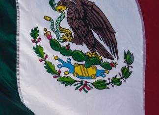 l Mejor Broker Forex en México en 2020